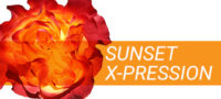 Sunset X-pression