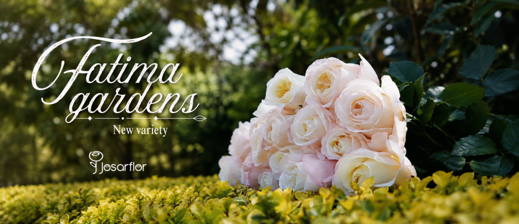 fatima garden para web